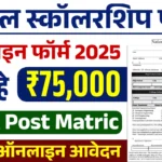 NSP Scholarship Apply
